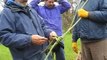 How to Tie a Blakes Hitch for Tree Climbing