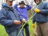 How to Tie a Blakes Hitch for Tree Climbing