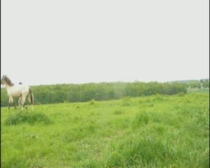 Défi n°4 trotter les yeux bandés