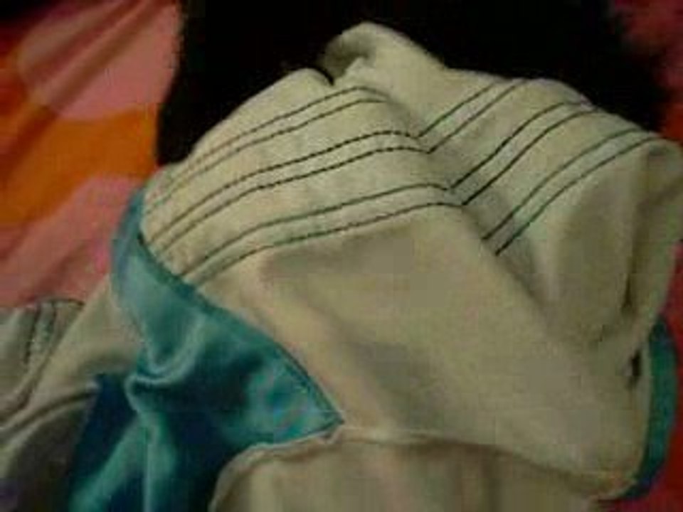 cat love tee shirt next