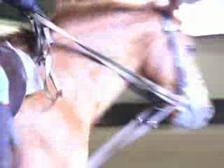 Elvira et Moi =D Départ au galop du pas