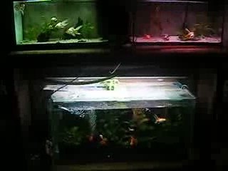 Ma batterie de 3 bacs