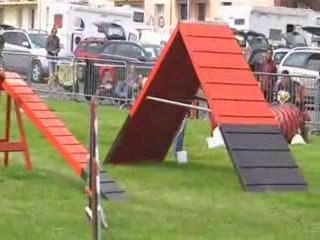 Cartoon Sélectif Trophée