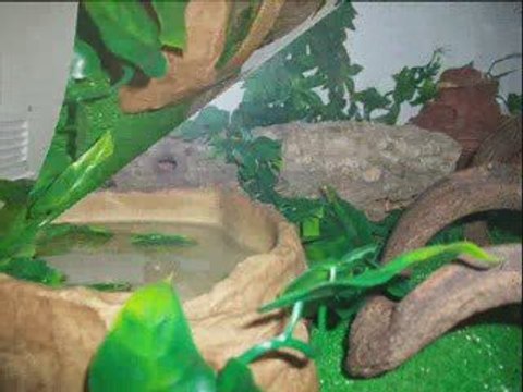 Fabrication des terrariums