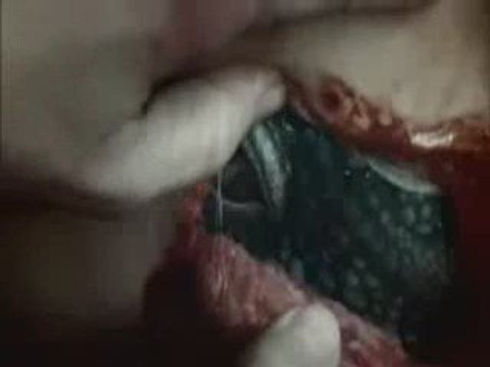 v les visiteurs ( remake abc ) Bande annonce