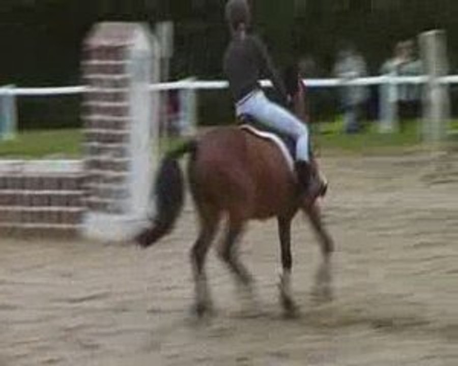 CSO Fauvettes Club 3 Sharane Magnum