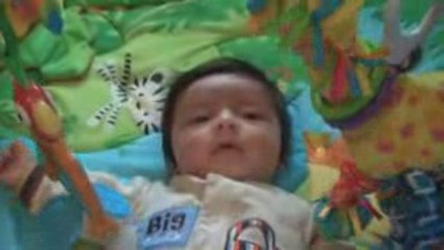 Fight With Jungle Gym Toys