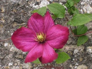 Pentecôte 2009 - Appel de Mgr BOULANGER