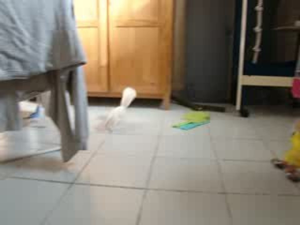 Eko dérape