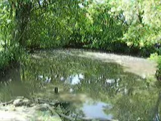 Akoiglisseur 1er test brushless