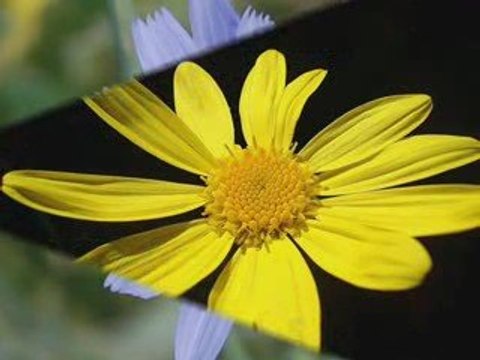 Esat Erdoğan Yakma ya Rabbi