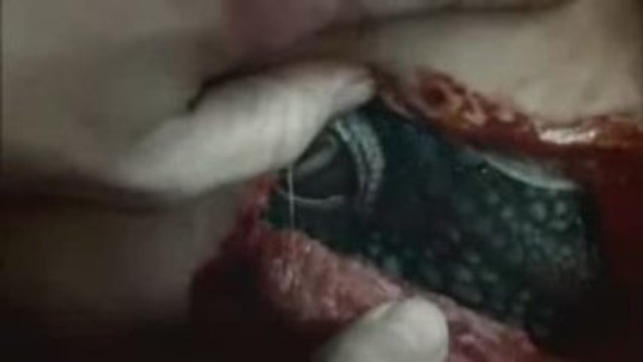 V les visiteurs remake Bande Annonce ABC