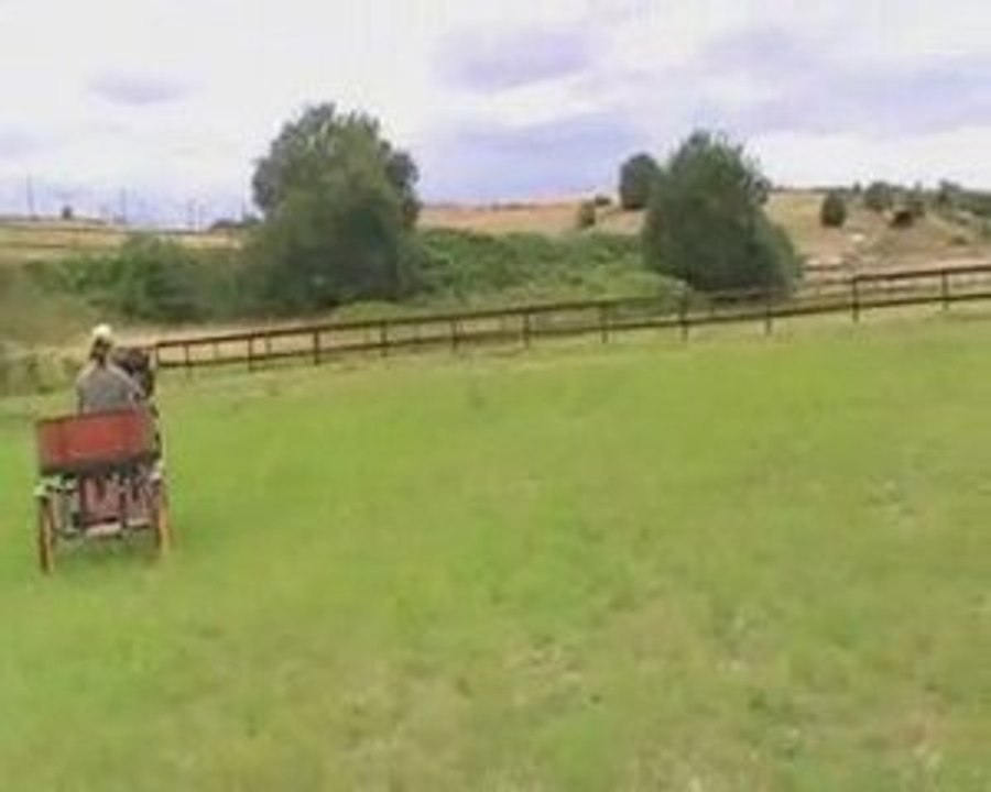 Attelage louvres août 08