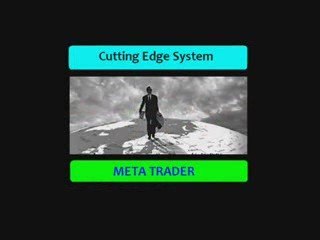 EFFICIENT SERVICES FROM AN EFFECTIVE MODULE FOR THE TRADER