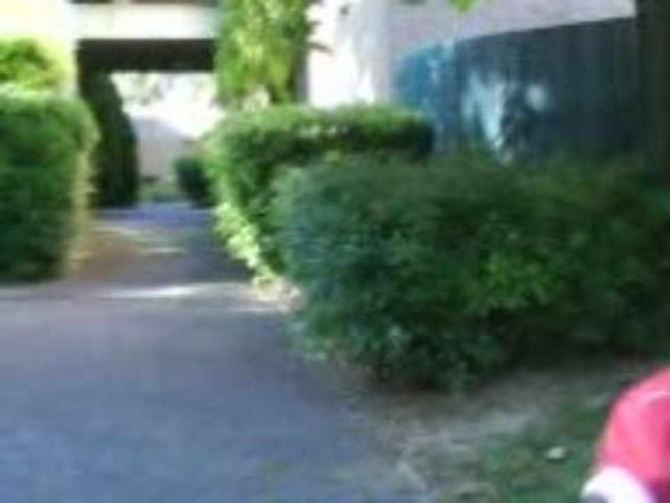 MOV00045