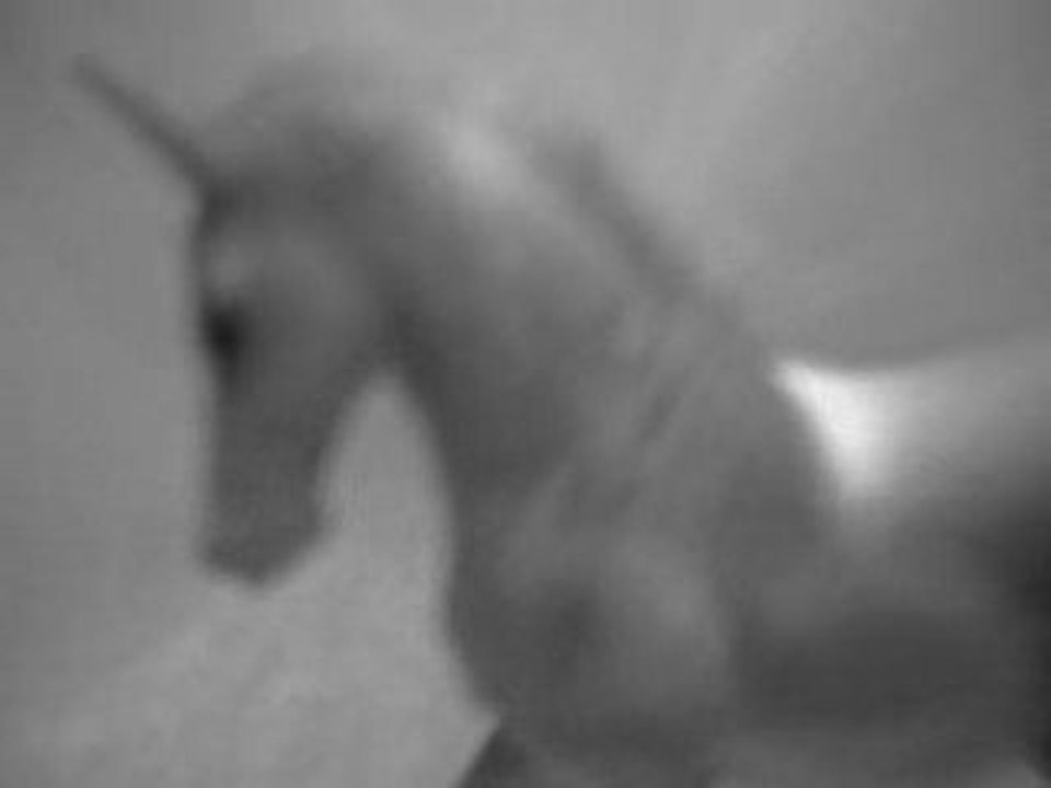 Nocternity - A Fallen Unicorn