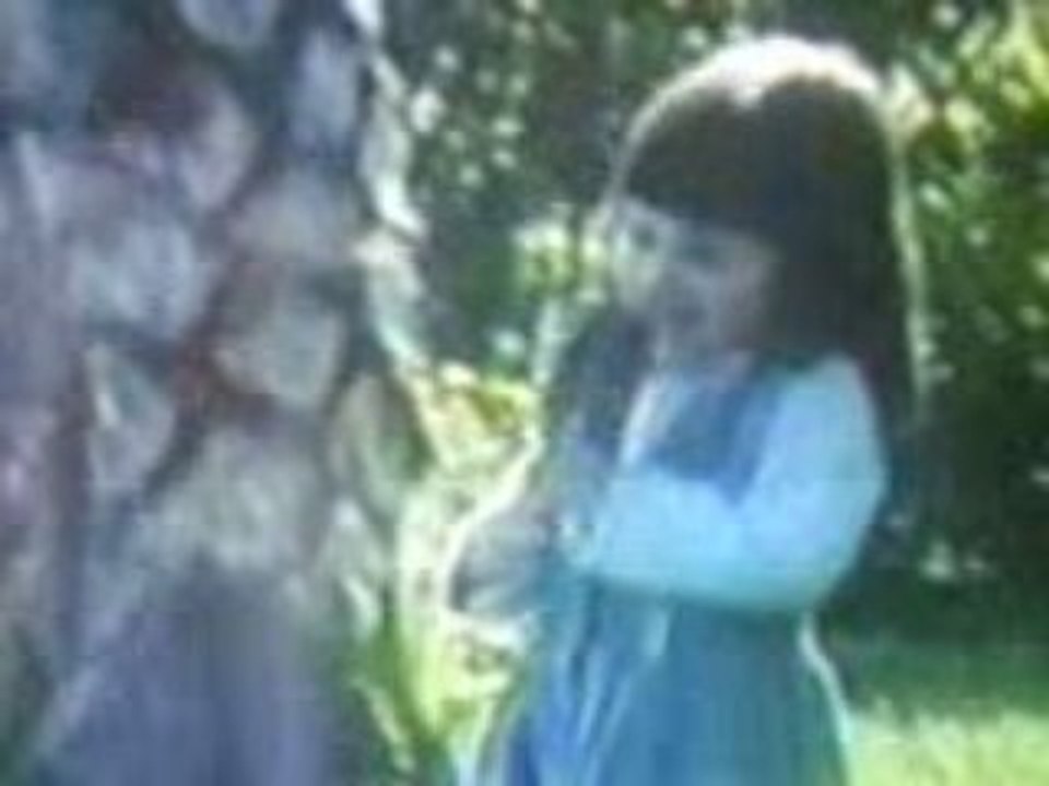 Dreams Before The END!