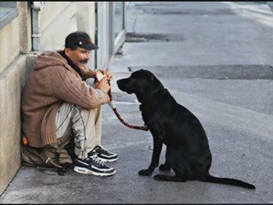tunisie, tunisia, tounes, tunis, ayachi hammami