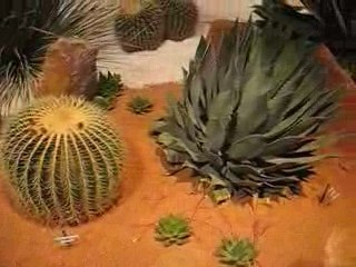 Nantes : Floralies 2009