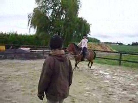 Emilie et Dorsika en licol éthologique