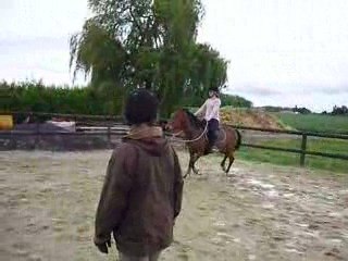 Emilie et Dorsika en licol éthologique