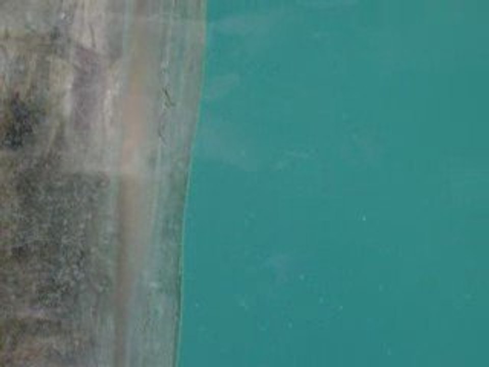 Ours Polaire zoo d'amnéville