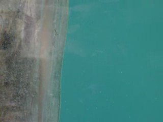 Ours Polaire zoo d'amnéville