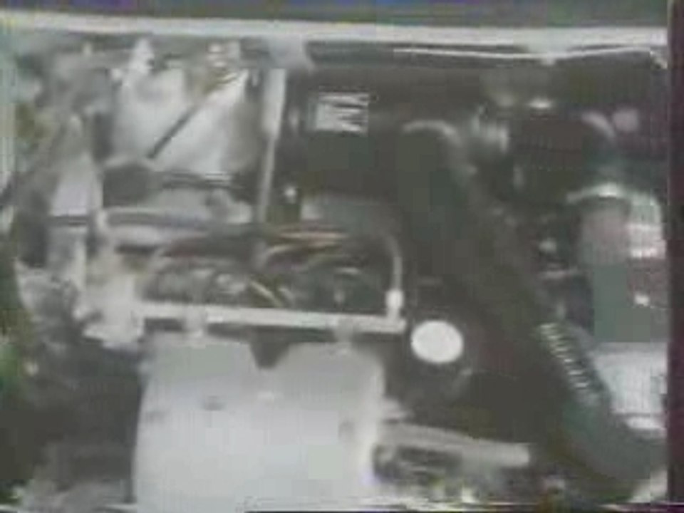 Peugeot 205 GTI - Toutes griffes dehors