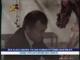 Kurban edilen devenin eti
