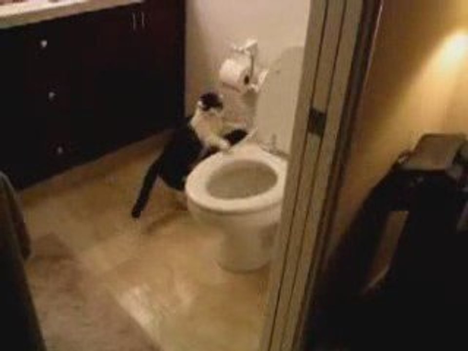 l'eau a un probleme