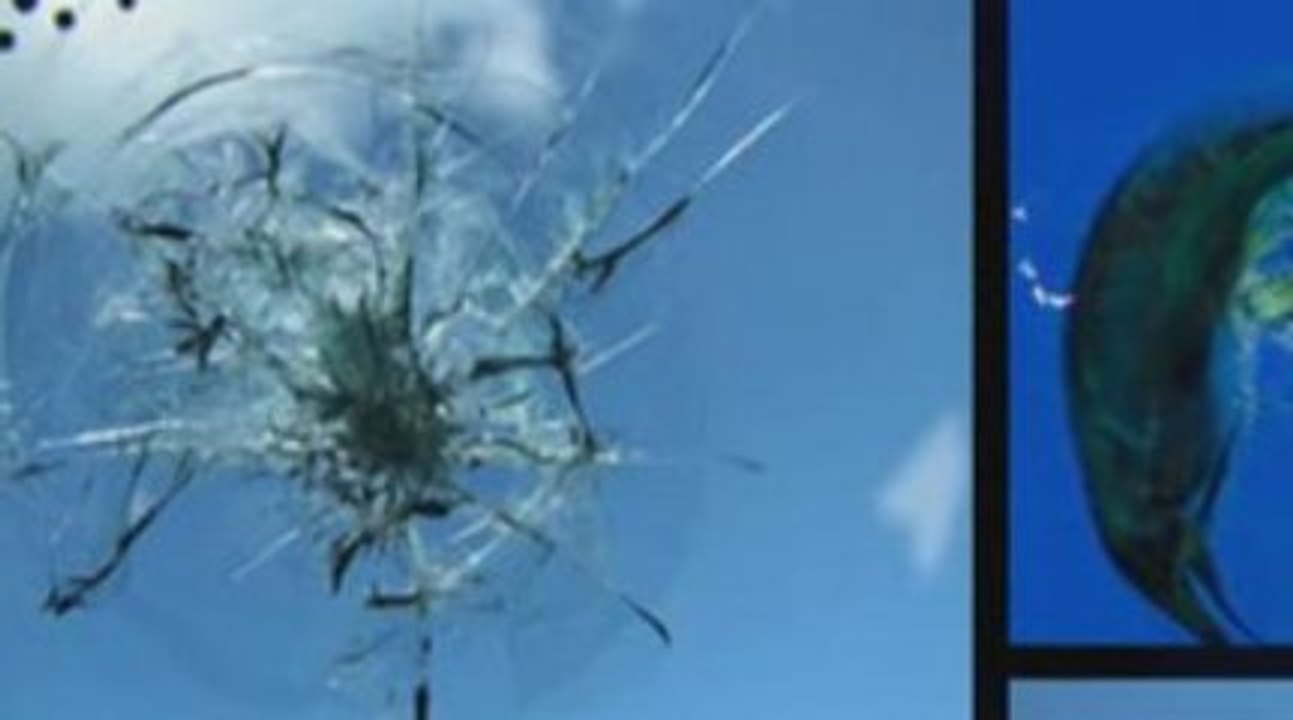 Hermann Windshield Repair and Replacement