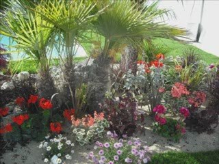 Les oiseaux exotiques