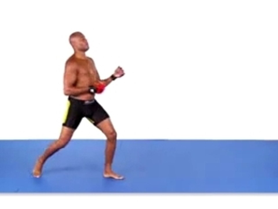 Anderson Silva  imite Fighters