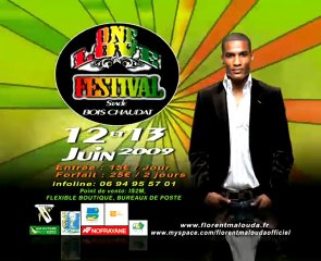 ONE LOVE FESTIVAL reggae guyane