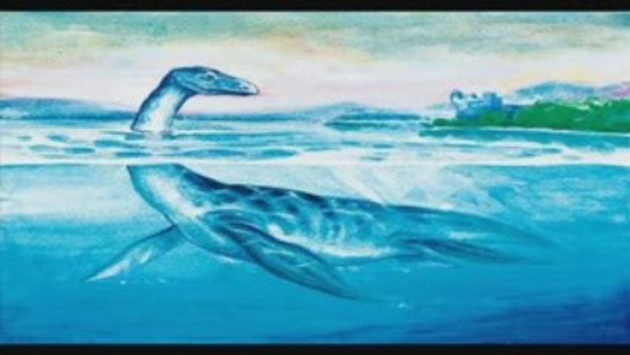 Nessie, le diapo