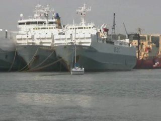 Laid up Shipping in the River Fal Cornwall