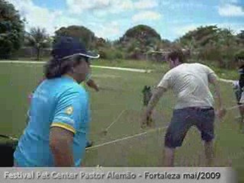 4º Cat Machos