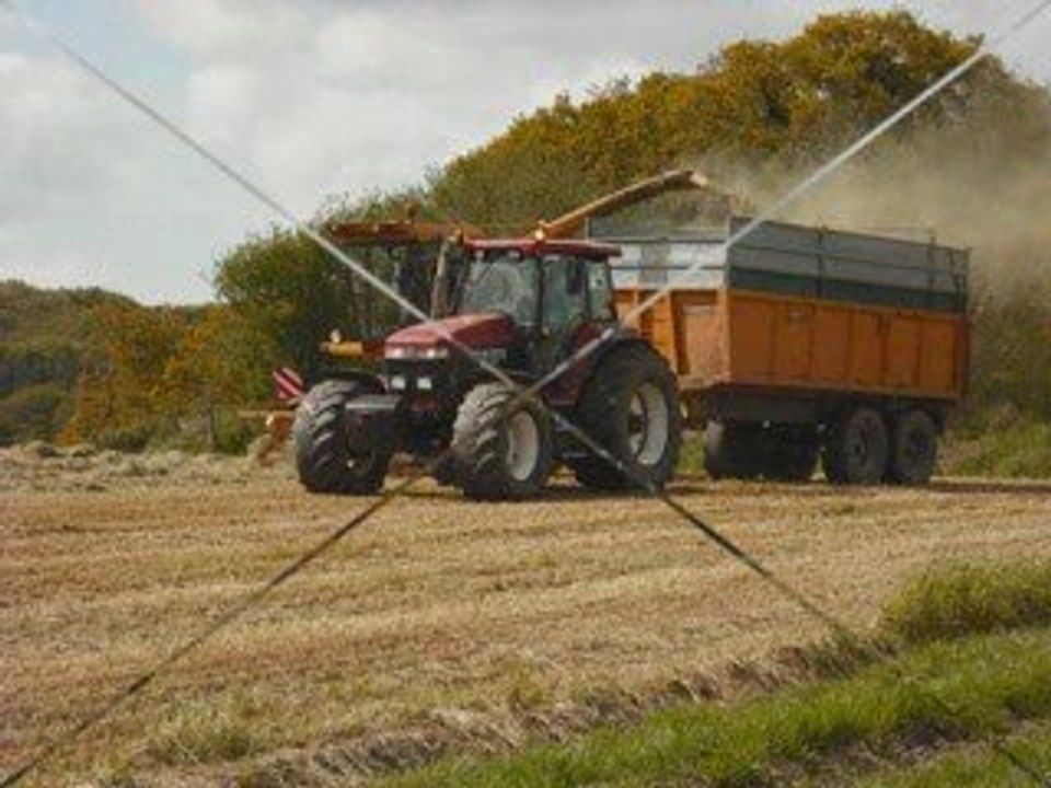 Ensilage herbe 2009_0001