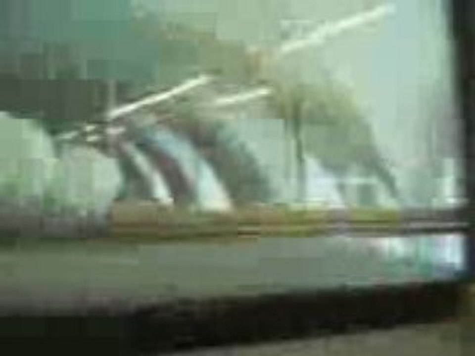 Videofile