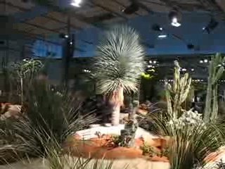 Nantes : Floralies 2009