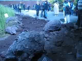 Nantes : Floralies 2009