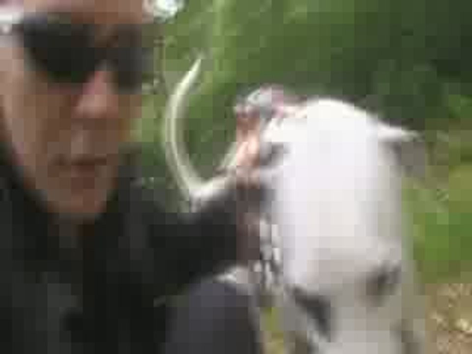 coucou2