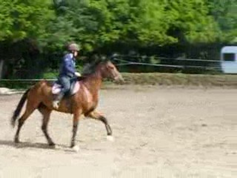 Orelie fin de séance de dressage du 21.05.09