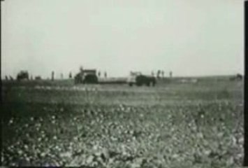 Maroc  : Guerre des Sables et sahara marocain