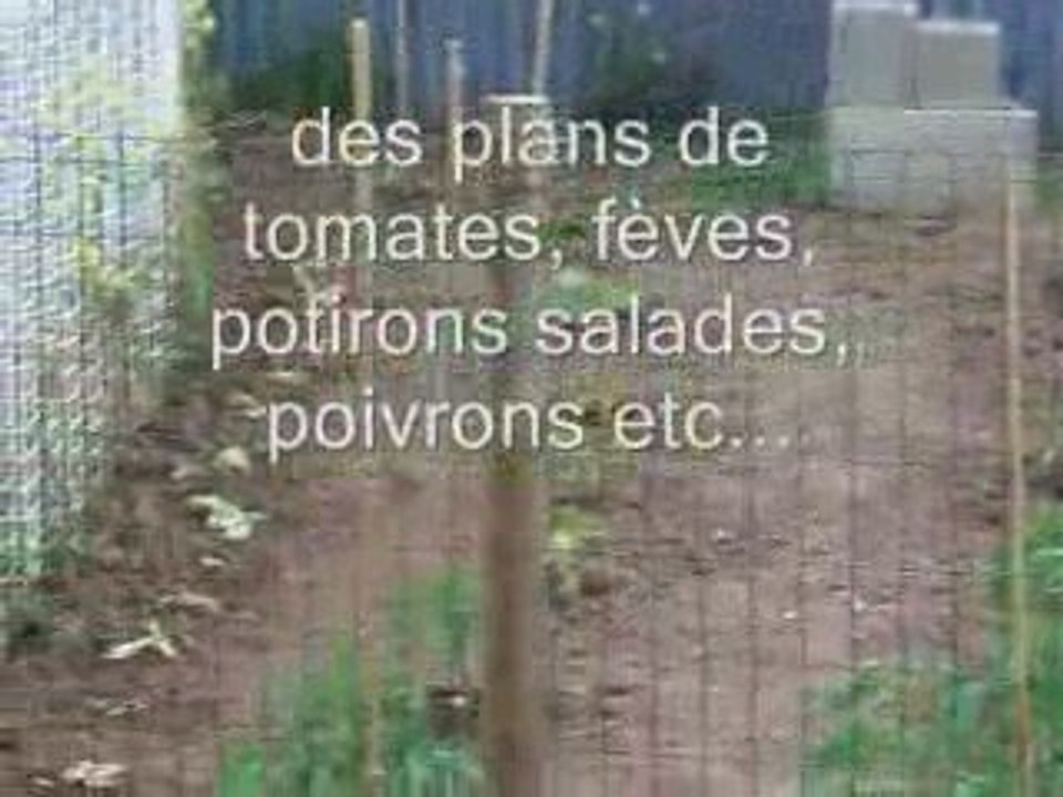 jardin