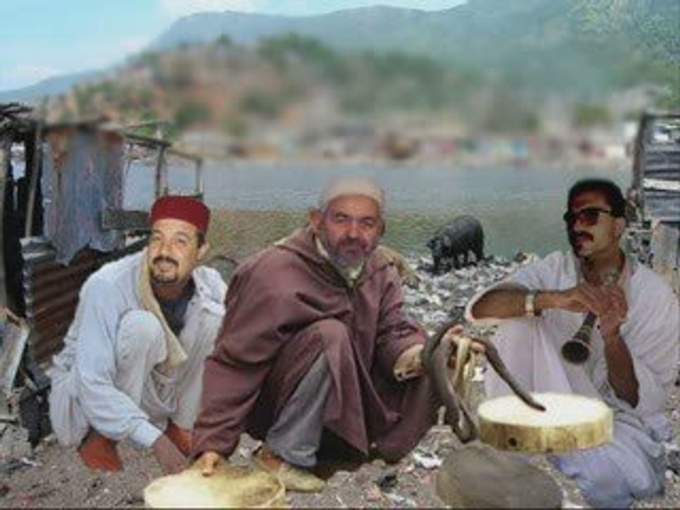 tunisie, tunisia, rached ghannouchi, amer alarifi, sahnoun a