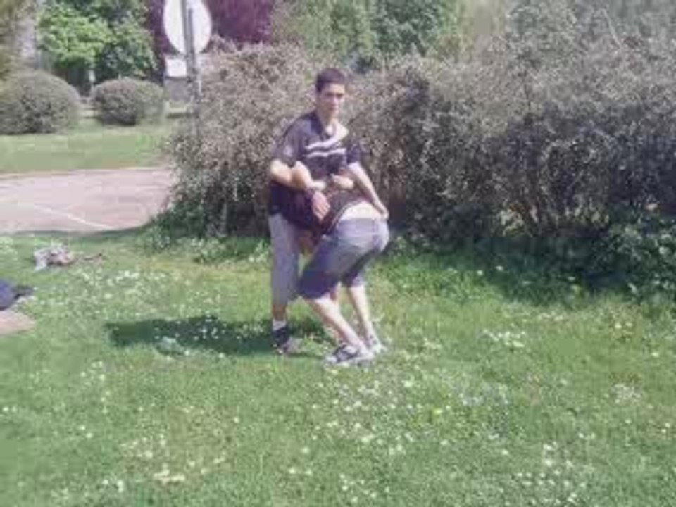 PEdigree sur quentin MDr