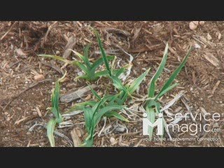 Benefits of Xeriscaping for Water Conservation and Aesthetic Appeal