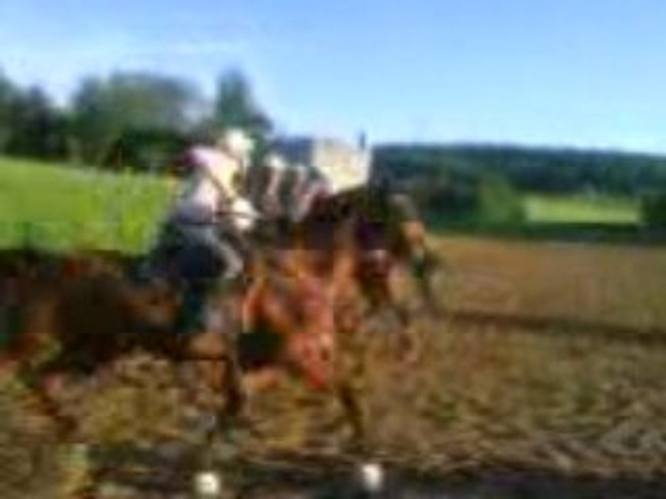 Horse ball