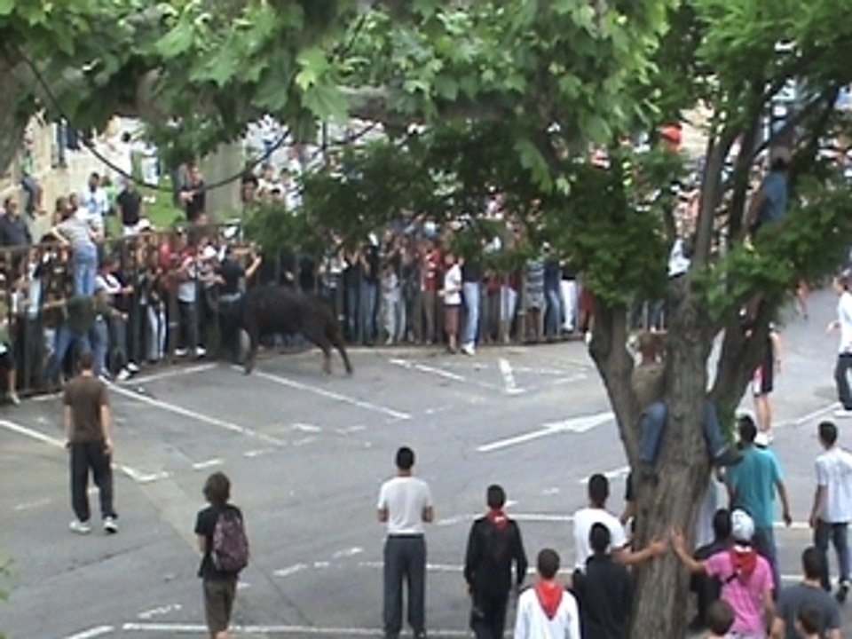 Encierro Alès